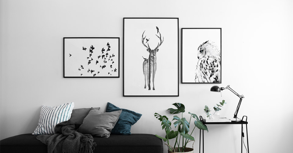 posters_insects_animals